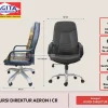 Webp kursi direktur aeron i cr (1)