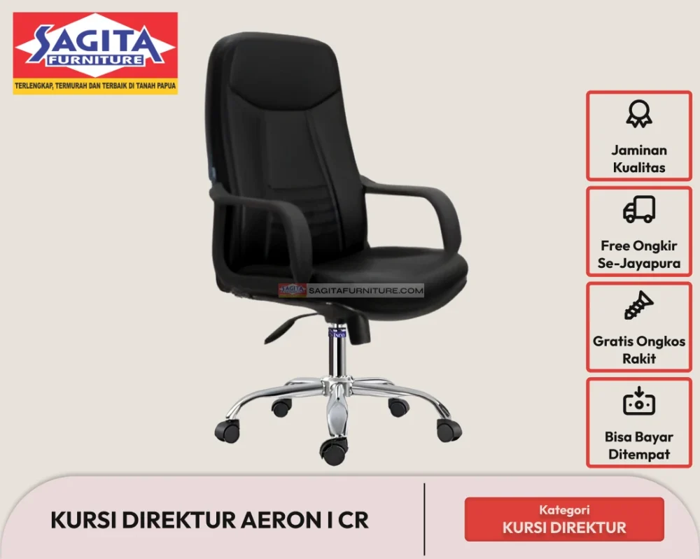 Webp kursi direktur aeron i cr