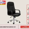 Webp kursi direktur aeron i cr